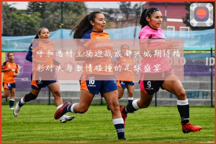 呼和浩特主场迎战成都兴城期待精彩对决与激情碰撞的足球盛宴