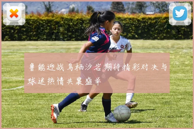 鲁能迎战鸟栖沙岩期待精彩对决与球迷热情共襄盛举