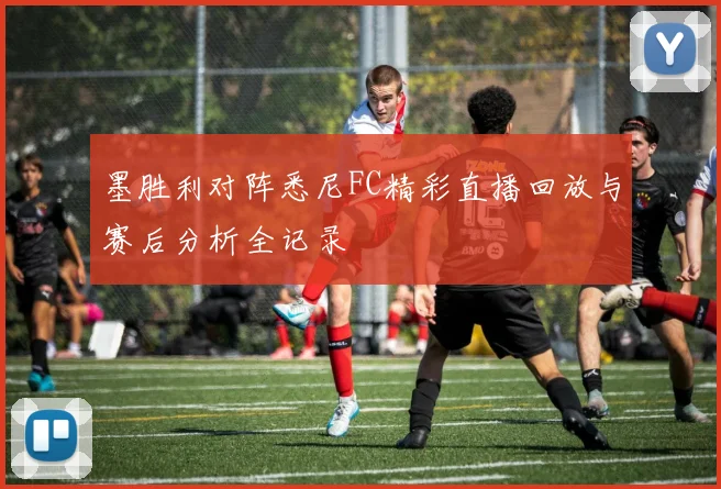 墨胜利对阵悉尼FC精彩直播回放与赛后分析全记录