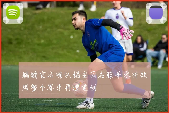 鹈鹕官方确认锡安因右膝手术将缺席整个赛季再遭重创