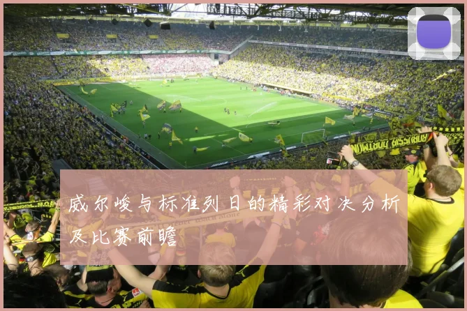 威尔峻与标准列日的精彩对决分析及比赛前瞻