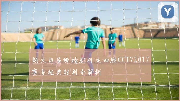 热火与黄蜂精彩对决回顾CCTV2017赛季经典时刻全解析